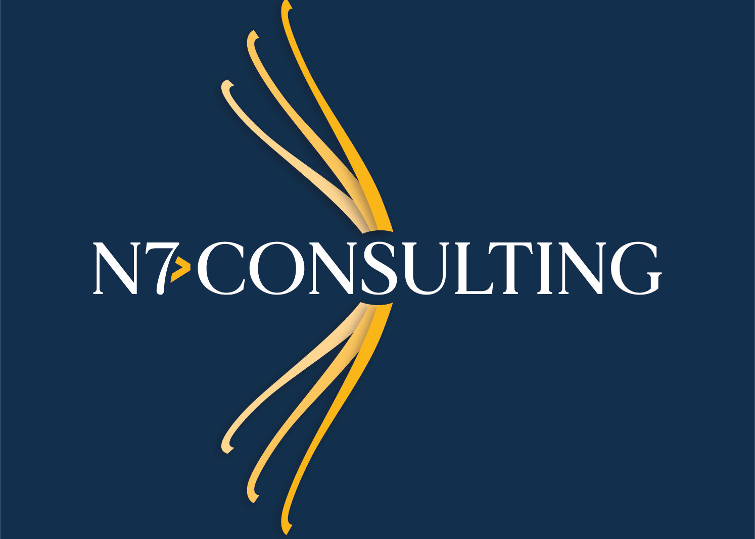 N7 Consulting